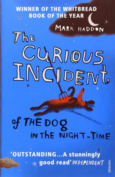 curious-incident-of-dog-nighttime